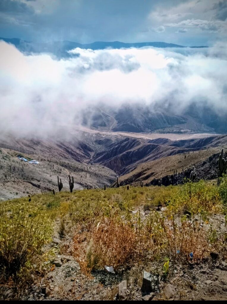 fondo dr